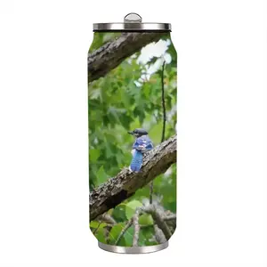 Blue Jay In A Tree - Classic Pose Coke Can Mug