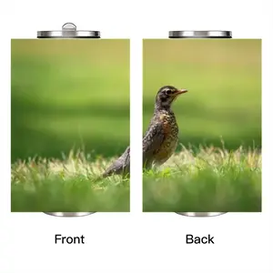 Bird In High Park Grass Coke Can Mug