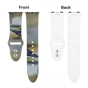 Bird iWatch Double Buckle Strap (Multi-Size)