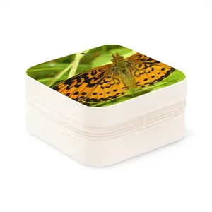 Beautiful New Hampshire Butterfly Jewelry Box