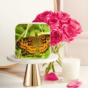 Beautiful New Hampshire Butterfly Jewelry Box