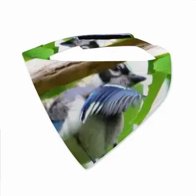 Blue Jay Peek-A-Boo Pets Turban (Velcro)