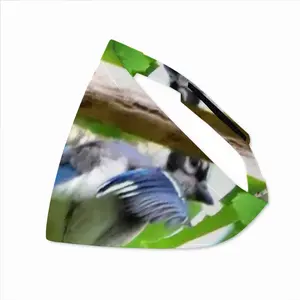 Blue Jay Peek-A-Boo Pets Turban (Velcro)