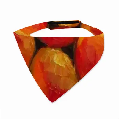 Apricot Tree Pets Turban (Velcro)