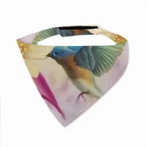 Blossoming Of Life Pets Turban (Velcro)