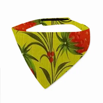 Raspberry Pets Turban (Velcro)