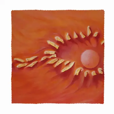 Birth Or Planet One Cloth Napkins