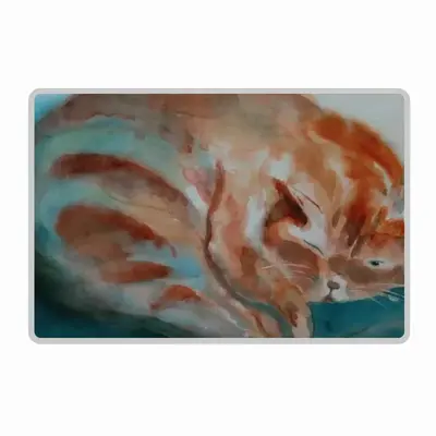 Cat Sleeping ? Polyester Mats (White Side)