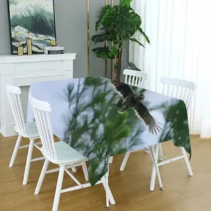 Blue Jay In Flight Tablecloth (Square)