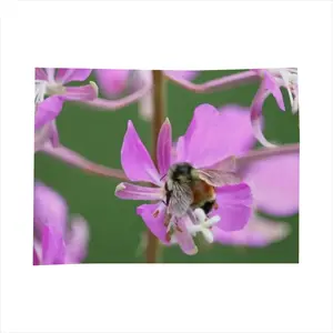 Kahshe Lake Buzzer Bee Tablecloth (Square)