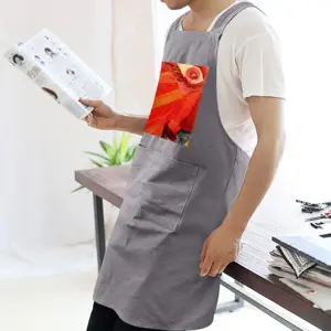 Adult Princess Fox Fragment F Retro Aprons