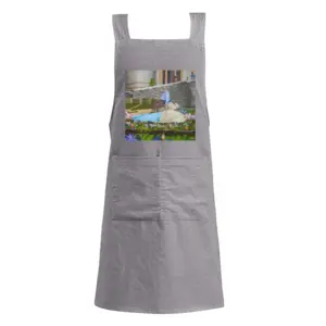 Adult The Discovery Retro Aprons