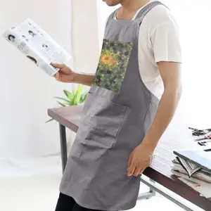 Adult Coexistence Retro Aprons