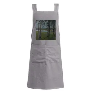 Adult In The North Park Retro Aprons