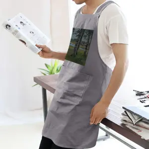 Adult In The North Park Retro Aprons