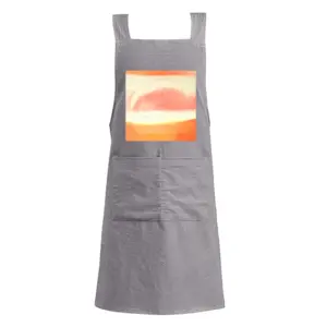 Adult Consequences Of The Pink Cloud Retro Aprons