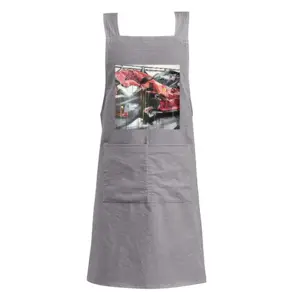 Adult Berlinetta Crash Retro Aprons