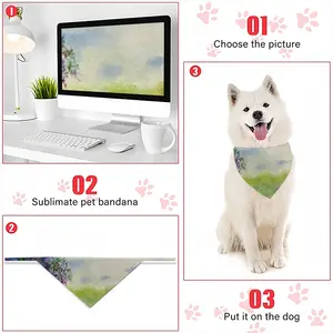 Magic Summer Ii Pets Headscarf (Tying Clause)