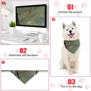 Message Series 1O Pets Headscarf (Tying Clause)