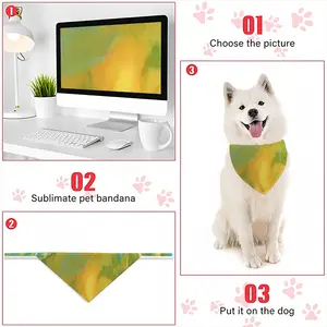 Krone Pets Headscarf (Tying Clause)