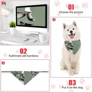 Corrosion 22 Pets Headscarf (Tying Clause)