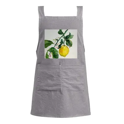 Lemon Branch Retro Aprons (Kids)