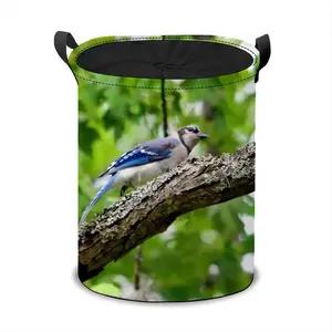 Blue Jay Show Off Laundry Basket