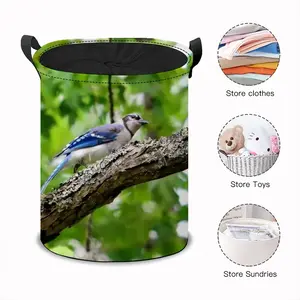 Blue Jay Show Off Laundry Basket