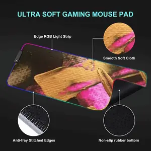 Reclaim Keyboard Mouse Pad (Illuminated)