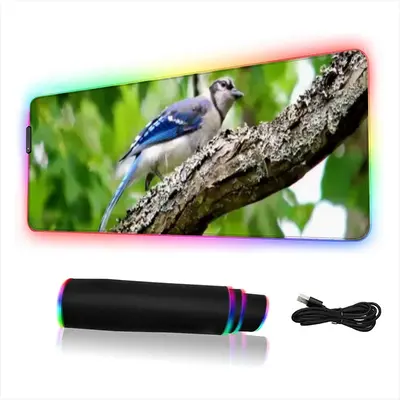 Blue Jay Show Off Keyboard Mouse Pad (Illuminated)