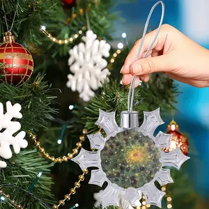 Coexistence Christmas Pendant (Transparent Snowflake)