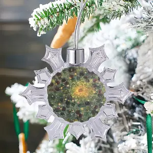 Coexistence Christmas Pendant (Transparent Snowflake)