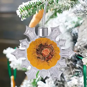 Cellular Universe Q Christmas Pendant (Transparent Snowflake)