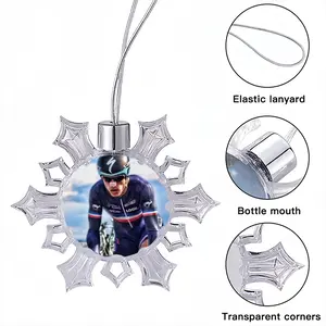 Chavanel Sylvain [France] Christmas Pendant (Transparent Snowflake)