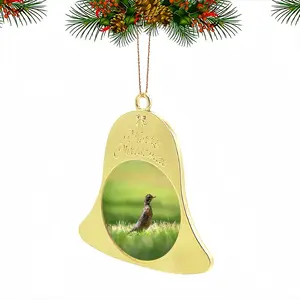 Bird In High Park Grass Christmas Bell Pendant