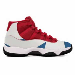 Men Flag 45 HD11 Basketball Sneakers