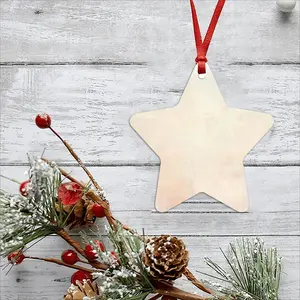 Earth Momentum Star Pendant (Aluminum)