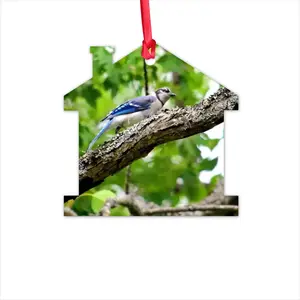 Blue Jay Show Off Hut Pendant (Aluminum)