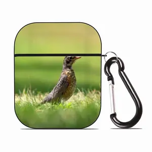 Bird In High Park Grass Airpods 2 Case (Hard Shell, Black)