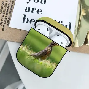 Bird In High Park Grass Airpods 2 Case (Hard Shell, Black)