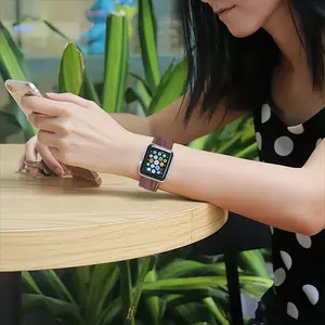 The Seed iWatch Classic Strap (Multi-Size)