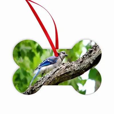 Blue Jay Show Off Bone Pendant (Aluminum)