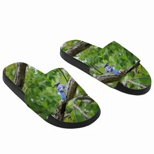 Men Blue Jay In A Tree - Classic Pose Slip On Slippers