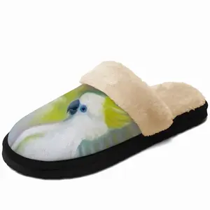 Men Enduring Beauty Parrots Fuzzy Slippers