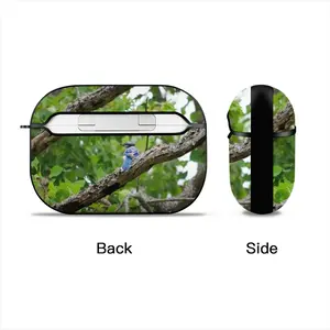 Blue Jay In A Tree - Classic Pose Airpods Pro Case (Hard Shell, Black)