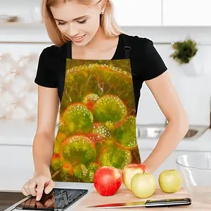 Cellular Universe X Apron (No Pocket)