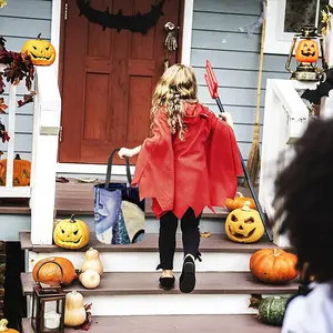 Lunatic Halloween Candy Bag