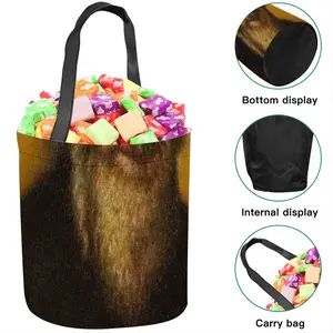 Rabbi Moses Sofer Halloween Candy Bag