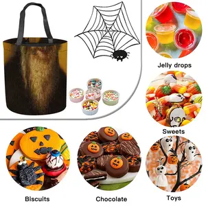 Rabbi Moses Sofer Halloween Candy Bag