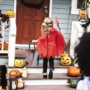 A Girl With A Goose Halloween Candy Bag